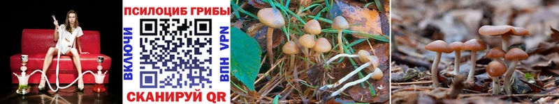 Галлюциногенные грибы GOLDEN TEACHER  мега вход  Волчанск  дарнет шоп 